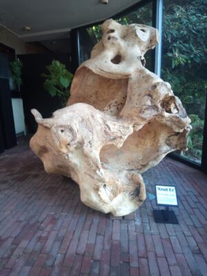 Knot Es-160c150x110-essen- 2022- 1