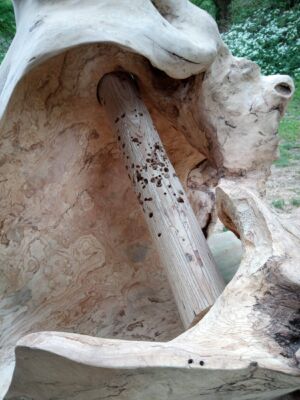 Knot Es-160c150x110-essen- 2022- 3