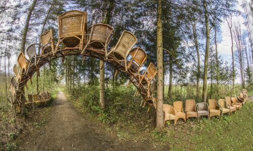 Paddestoelen-800x400x300-rotan-2022 1