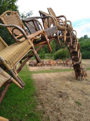 Paddestoelen-800x400x300-rotan-2022 4