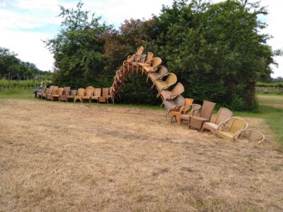 Paddestoelen-800x400x300-rotan-2022 5