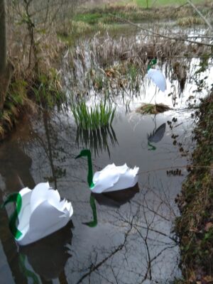 Vogel456-70x50x30- SchuimPVC- 2023 4